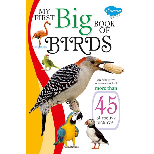 My First Book of Birds Children's Books Science, Nature & How It Works