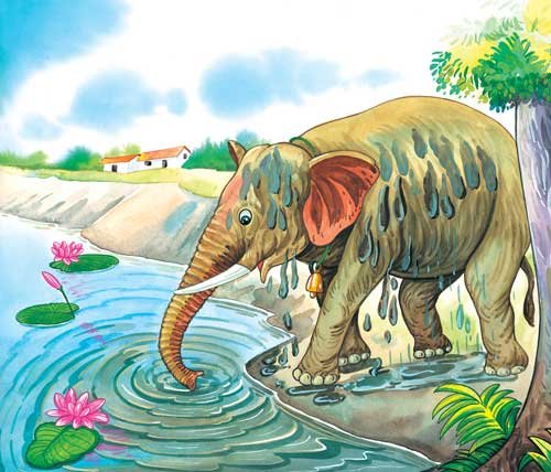 The Elephant's Long Trunk - Sawan Books
