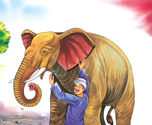 An Elephant And Six Blindmen - Sawan Books