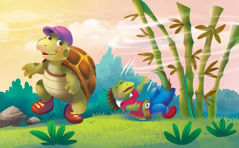 The Iguana and the Turtle - Sawan Books