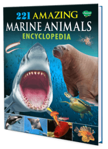 221 Amazing Marine Animals Encyclopedia