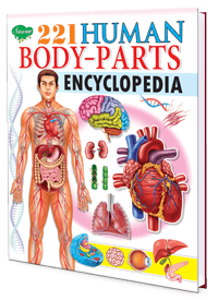 221 Human Body Parts Encyclopedia