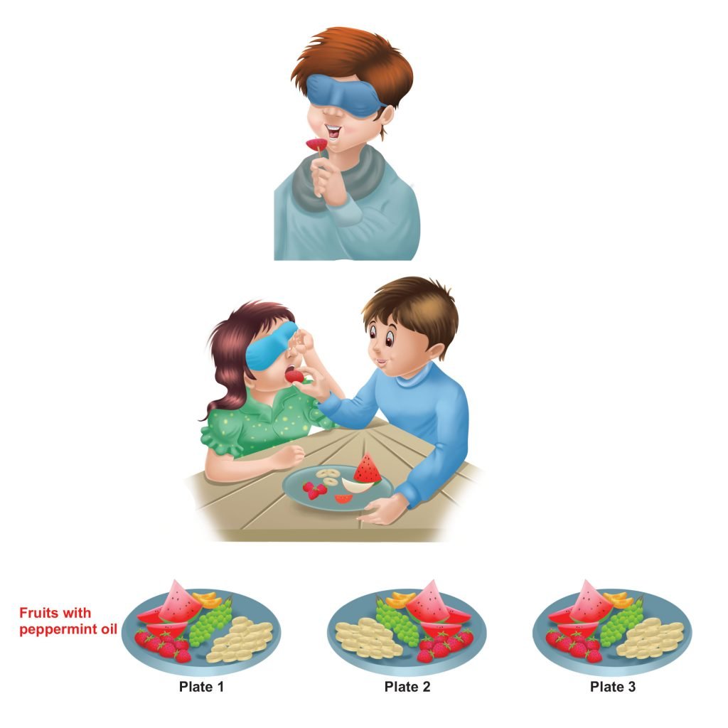 smell and taste experiments