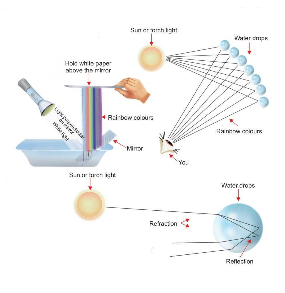 How Rainbows Are Made (Funky Physics Experiments) - Sawan Books