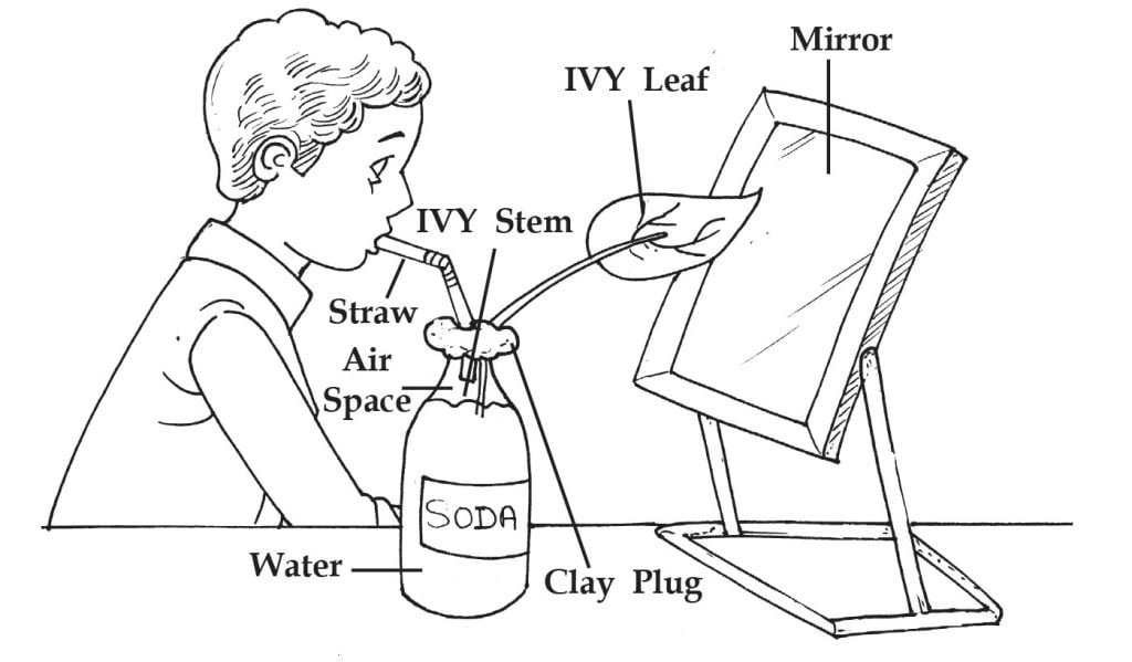 the-meaning-and-symbolism-of-the-word-straw