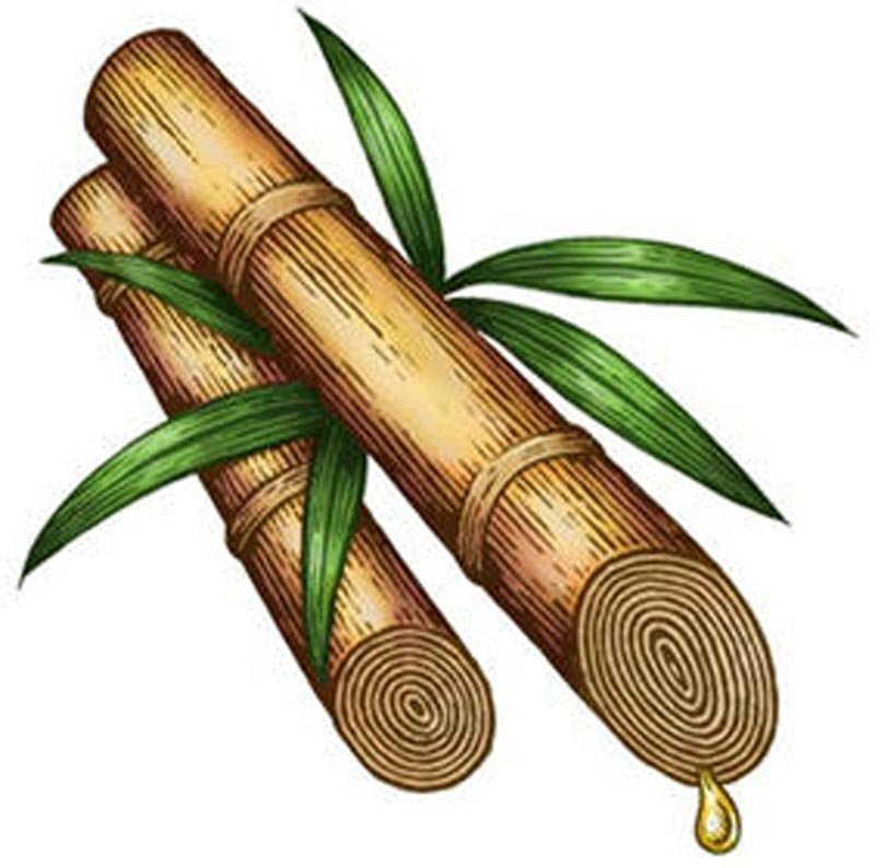 algebraic-sugar-cane-sawan-books