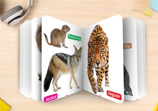 Big Pictures : Wild Animals | My First Board Book | Early Learning Picture Book - Image 5