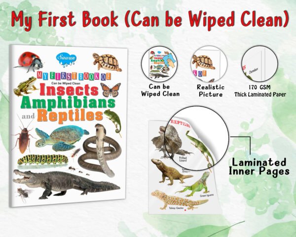 My First Book of Amphibians and Reptiles | My First Book (Can be Wiped Clean) - Image 4