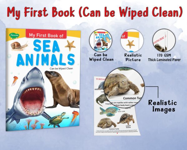 My First Book of Sea Animals | My First Book (Can be Wiped Clean) - Image 5