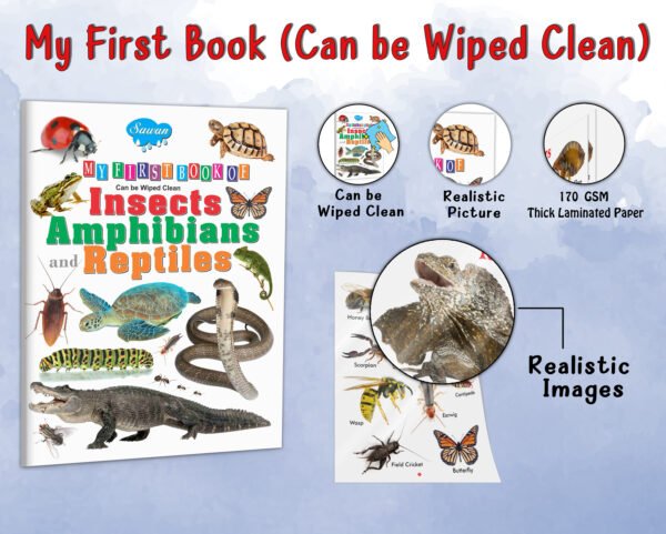 My First Book of Amphibians and Reptiles | My First Book (Can be Wiped Clean) - Image 5