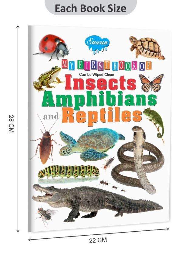 My First Book of Amphibians and Reptiles | My First Book (Can be Wiped Clean) - Image 2