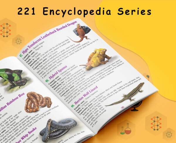 221 Amphibians and Reptiles Encyclopedia | 221 Encyclopedia Series - Image 3