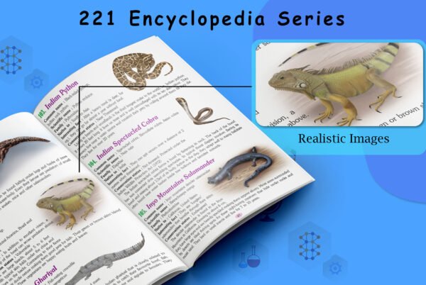 221 Amphibians and Reptiles Encyclopedia | 221 Encyclopedia Series - Image 4