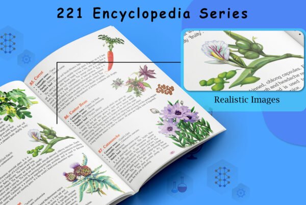 221 Plants Encyclopedia | 221 Encyclopedia Series - Image 4