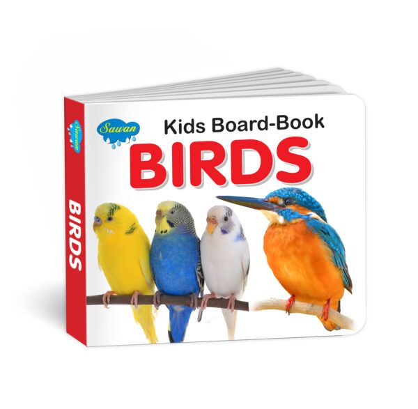 Early education Birds