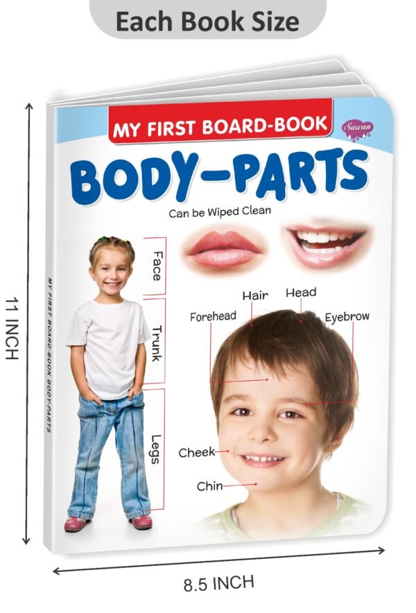 Body Parts | My First Board-Book | Early Learning Picture Book - Image 2