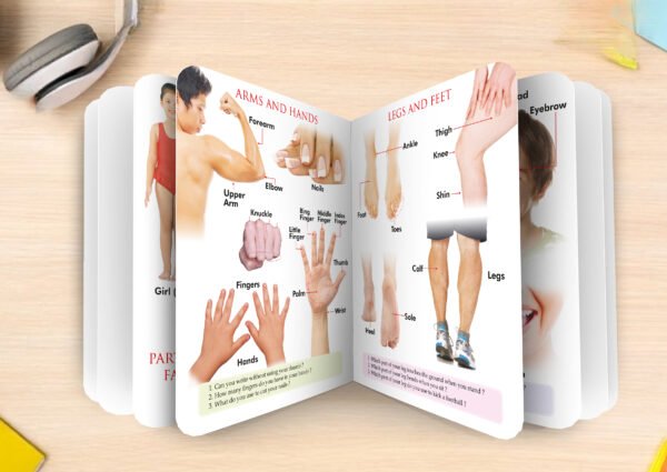 Body Parts | My First Board-Book | Early Learning Picture Book - Image 6