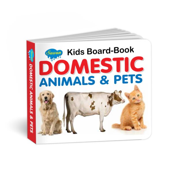 Junior learning Domestic Animals & Pets