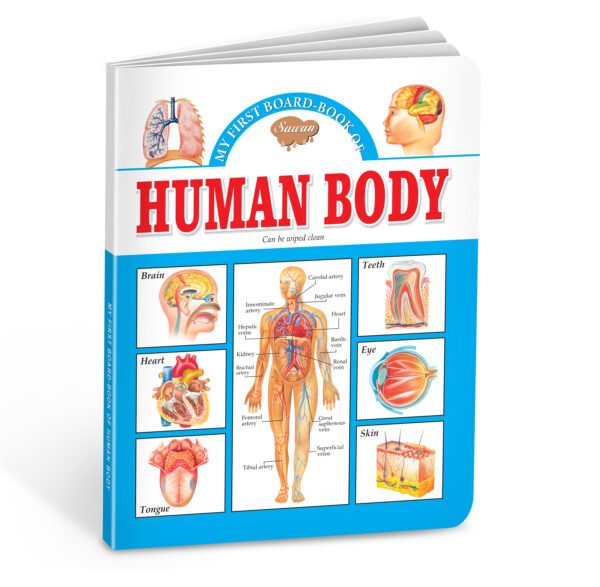 Nurturing Human Body