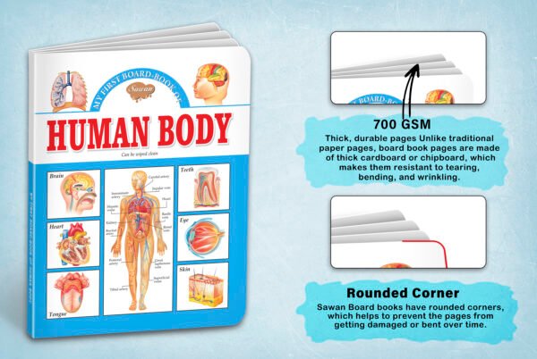 Human Body | My First Board-Book | Early Learning Picture Book - Image 4