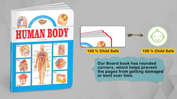 Human Body | My First Board-Book | Early Learning Picture Book - Image 3