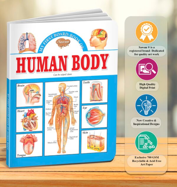 Human Body | My First Board-Book | Early Learning Picture Book - Image 7