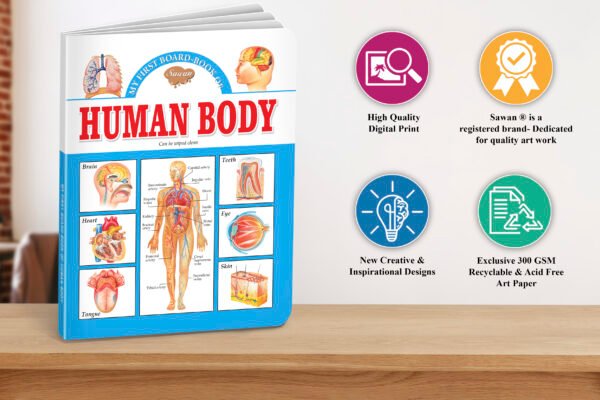 Human Body | My First Board-Book | Early Learning Picture Book - Image 5