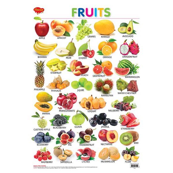 Fruits Hard Laminated Educational Chart - Sawan Books