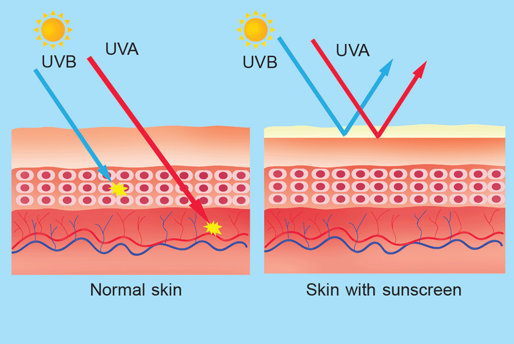 Why do we need sunscreen? - Sawan Books