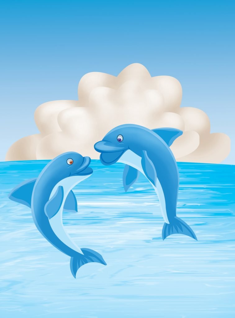 How Do Dolphins Communicate? - Sawan Books