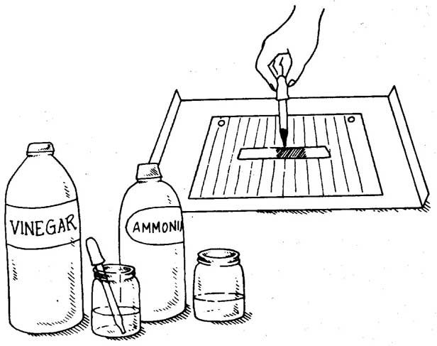 Acid-Base Testing (Chemistry Experiments) - Sawan Books