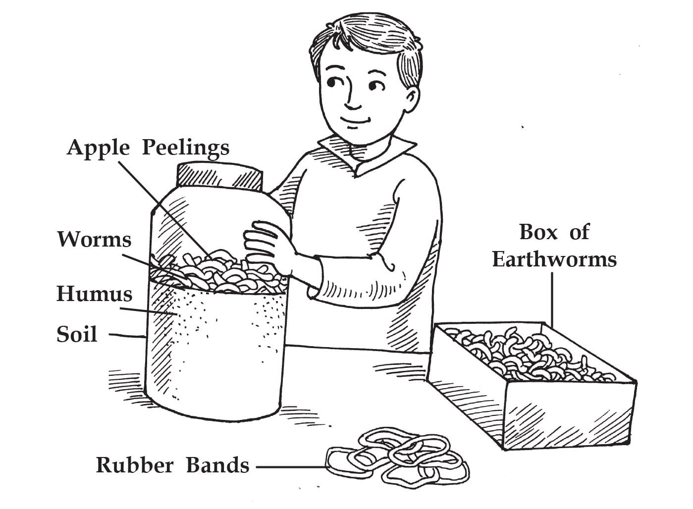 biology experiment on earthworm