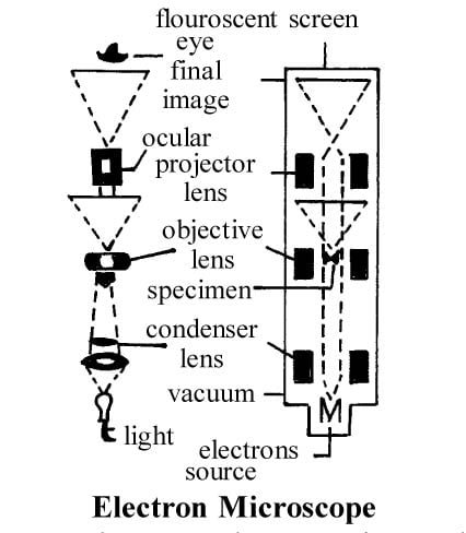 2. Biological Tools and Techniques - Sawan Books