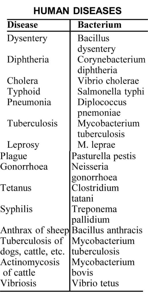 19. Bacteria - Sawan Books