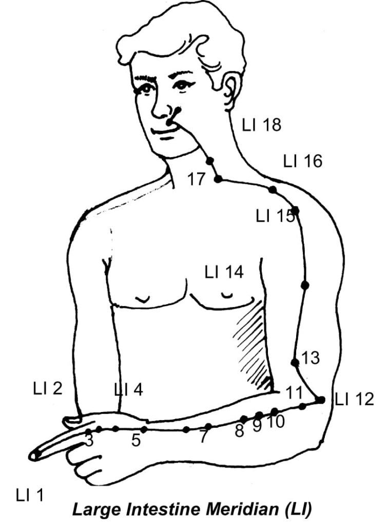 13. MERIDIANOLOGY FOR ADVANCE ACUPRESSURE - Sawan Books