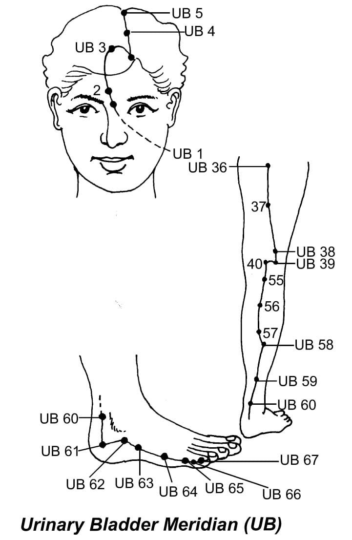 13. MERIDIANOLOGY FOR ADVANCE ACUPRESSURE - Sawan Books