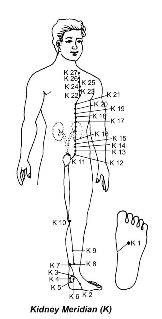 13. MERIDIANOLOGY FOR ADVANCE ACUPRESSURE - Sawan Books