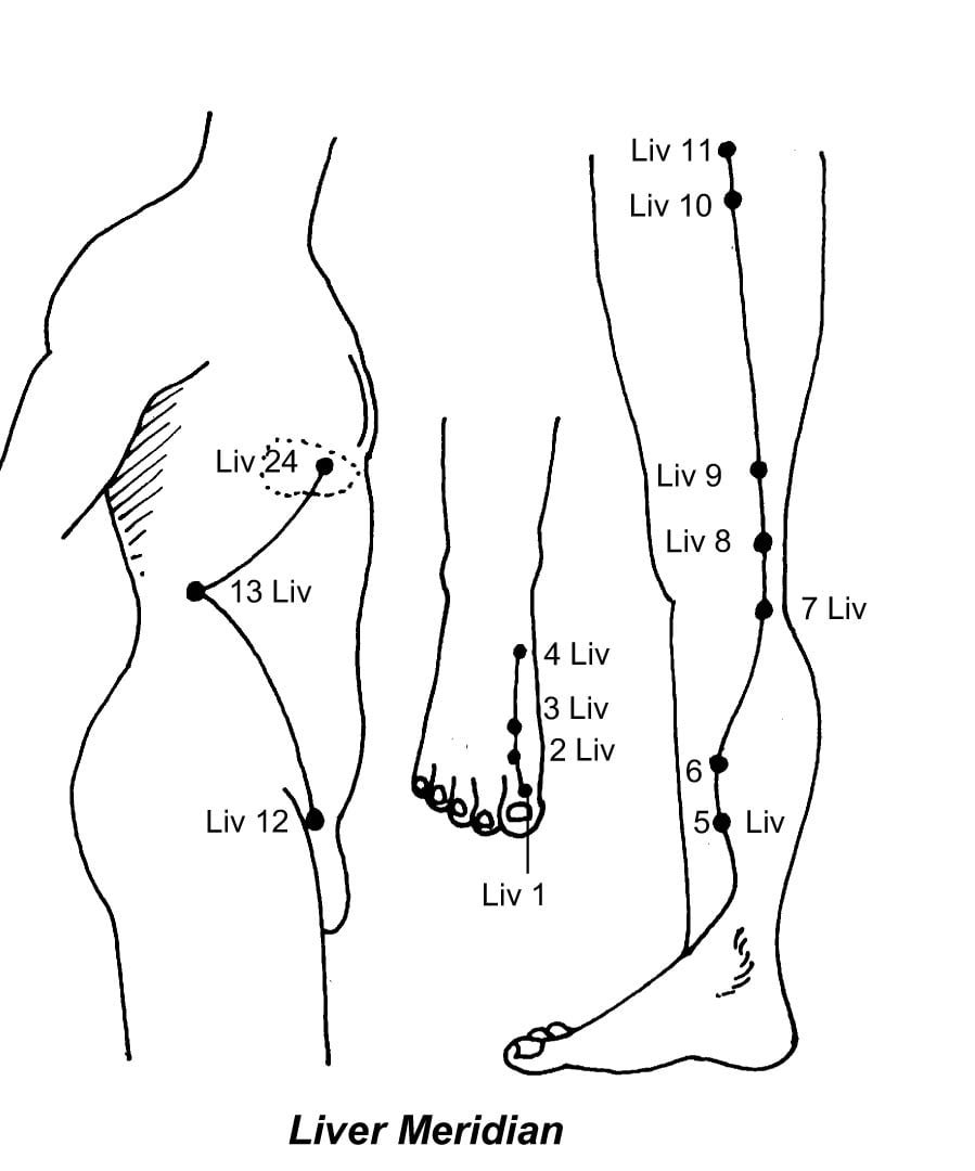 13. MERIDIANOLOGY FOR ADVANCE ACUPRESSURE - Sawan Books